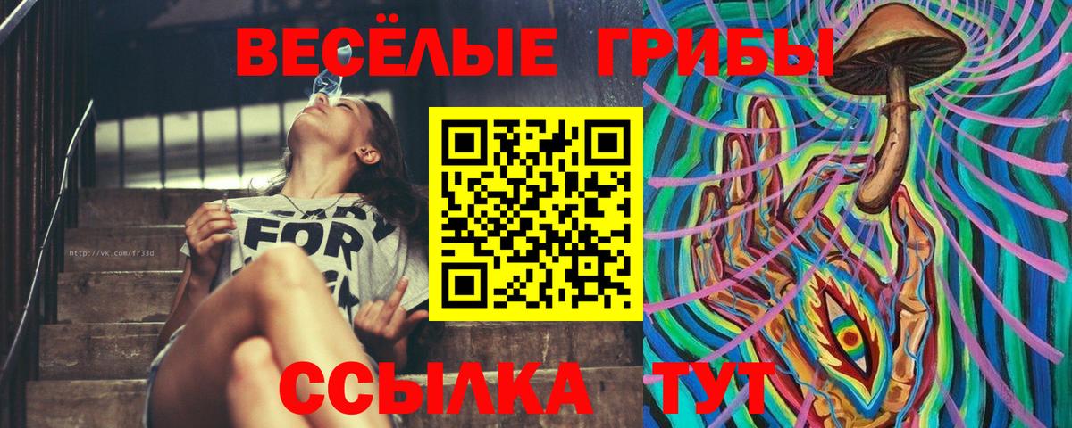 Псилоцибиновые грибы Cubensis  Галлюциногенные грибы Psilocybe  Кыштым  Вход с VPN 