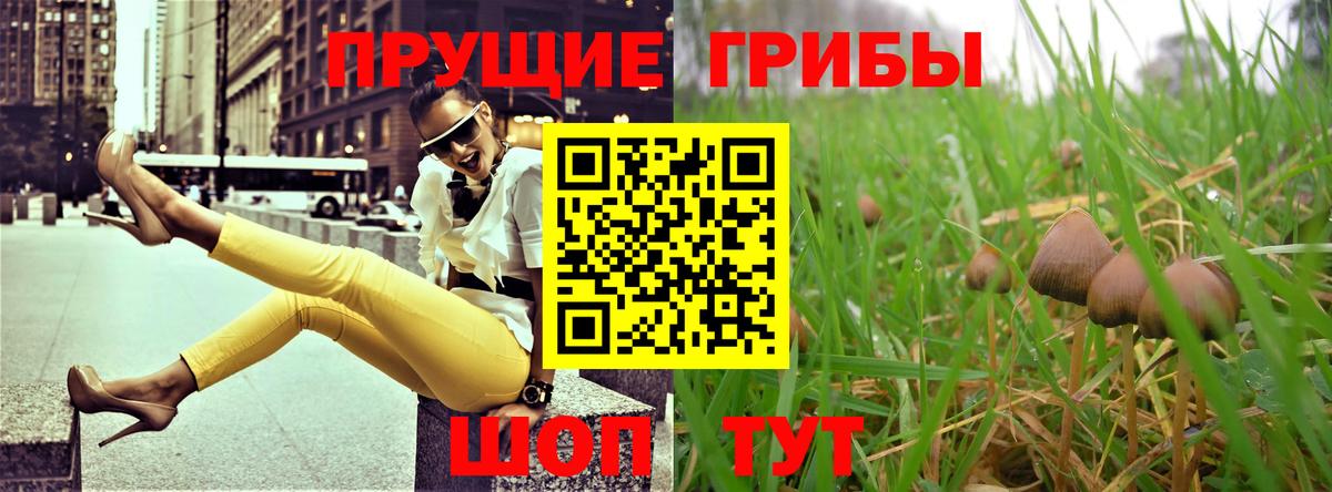 Псилоцибиновые грибы GOLDEN TEACHER Кыштым